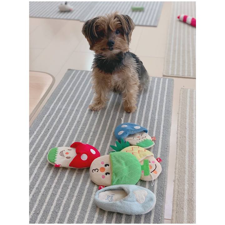 Bd1edb23 1b76 444a b416 1eec24a3e3af 1609643390167