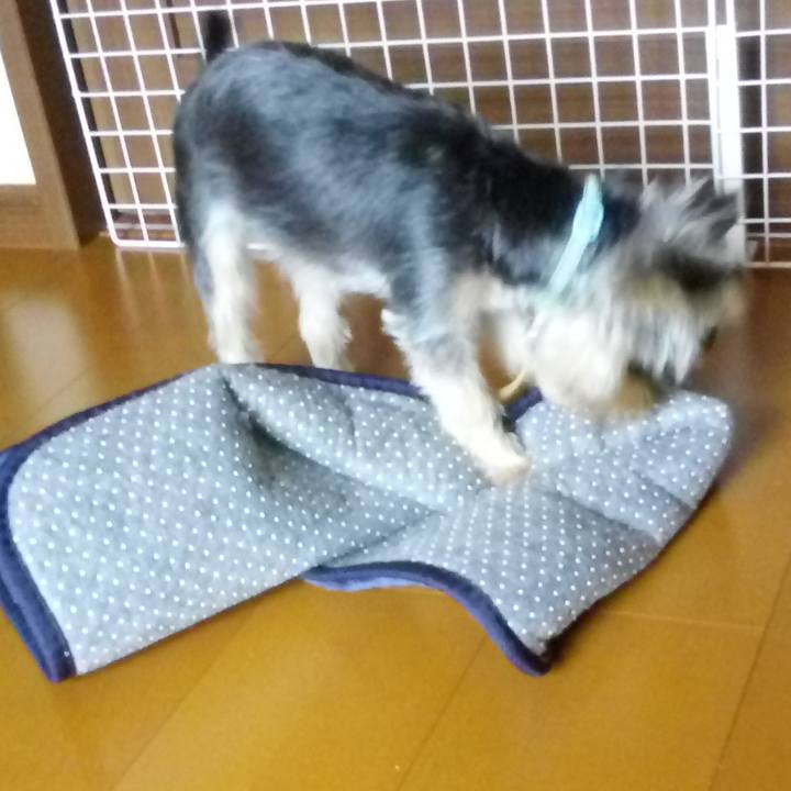 Bd1ef0cd cf5a 4dba b95e e3d2565d9c94 1537494742363