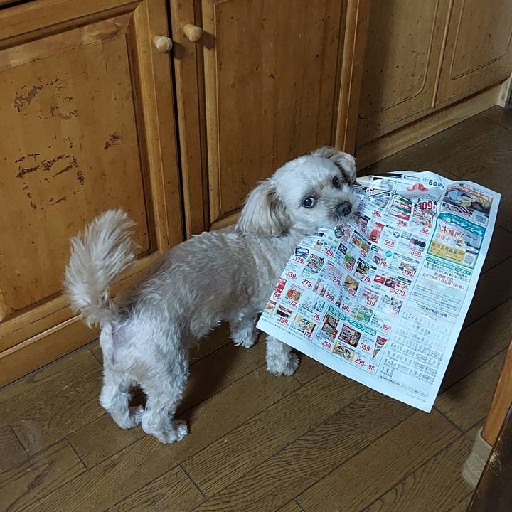 Bd1efa64 63a5 43ed ade1 f85c5013544f 1670302598570