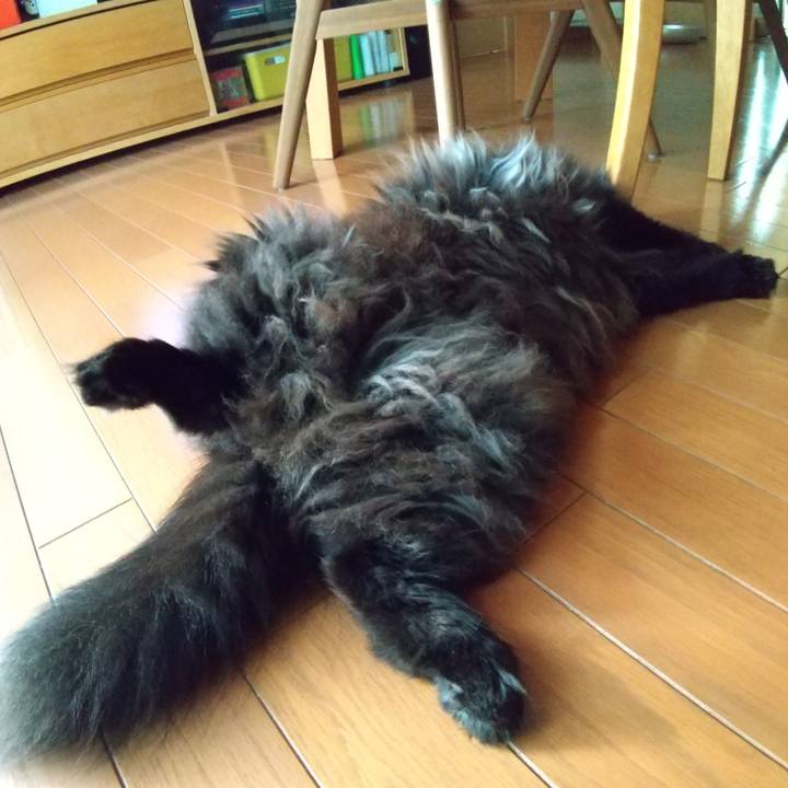 Bd1f48cf 8f89 4026 a754 dda61121755f 1690191207790