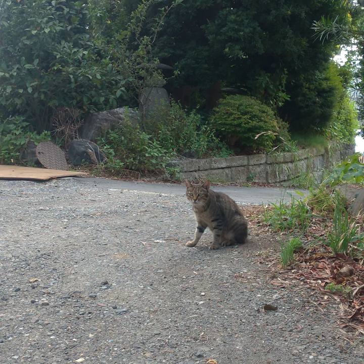 Bd1f55e8 52e3 43c4 a219 5c73f08a7fb3 1567212013400