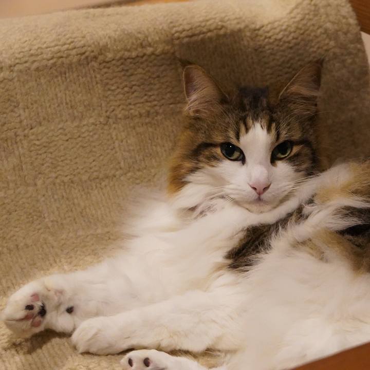 Bd1f564e 07a5 42b5 a47b 7d4242415211 1612618931235