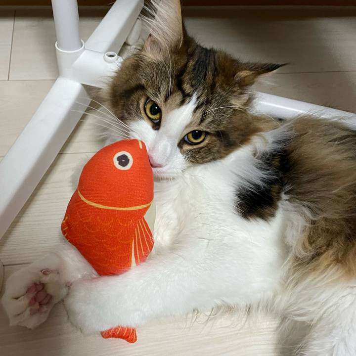 Bd1f6db6 0dd6 4b17 8250 184b167ff592 1646682463911