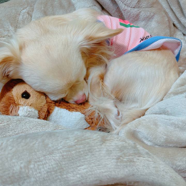 Bd1f71a6 d35f 42ba a2f0 5314cfa225b9 1650955405923