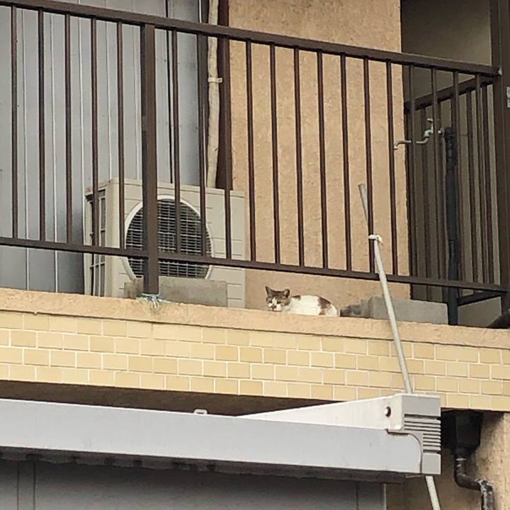 Bd1f93db 5b1a 4295 a21a 17dd962a656c 1620576499782