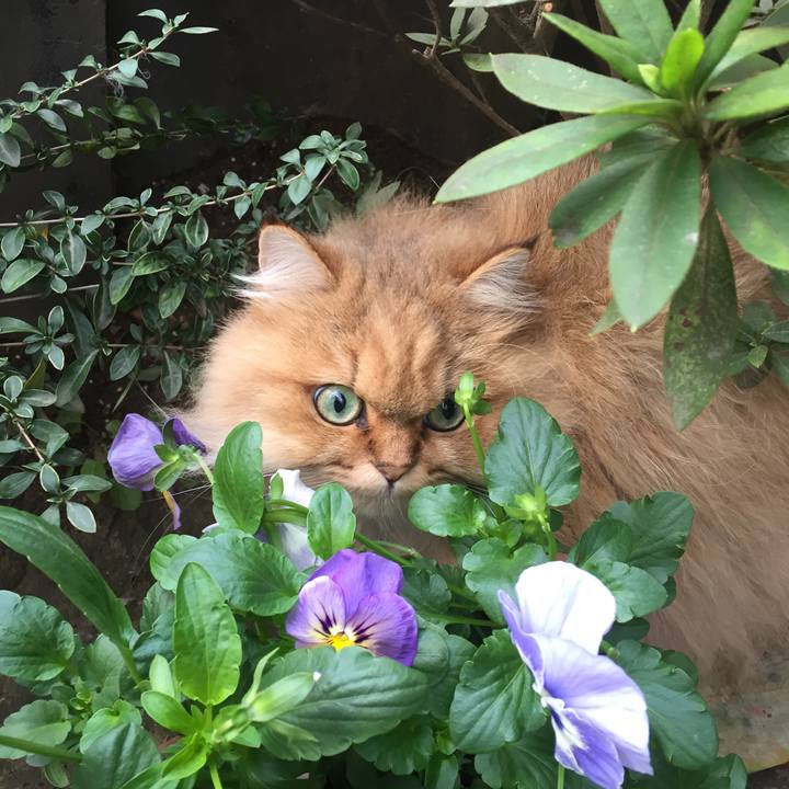 Bd1f9657 56a8 4785 960e 50c7807ba3dc 1542583806546