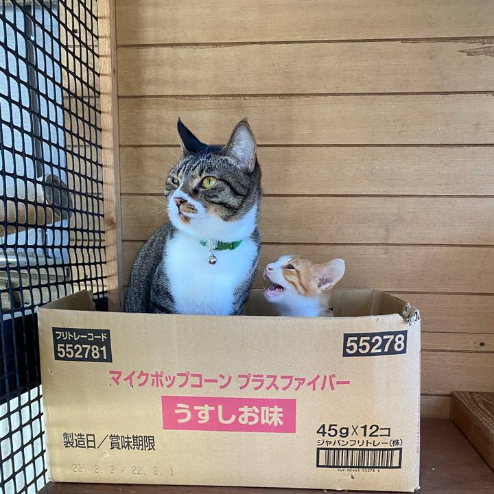 Bd1fa262 aad2 469e b937 4ae765a3906d 1666658268575