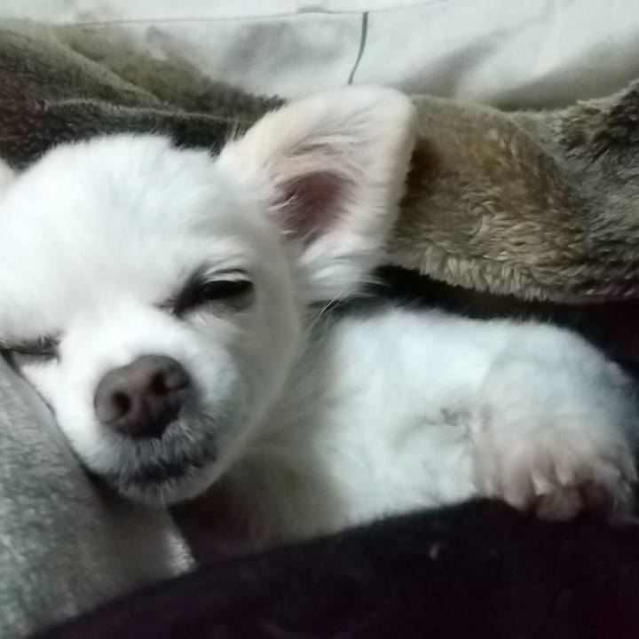 Bd1fbfff da8d 46cd a1da fa521568d9c5 1576071464844