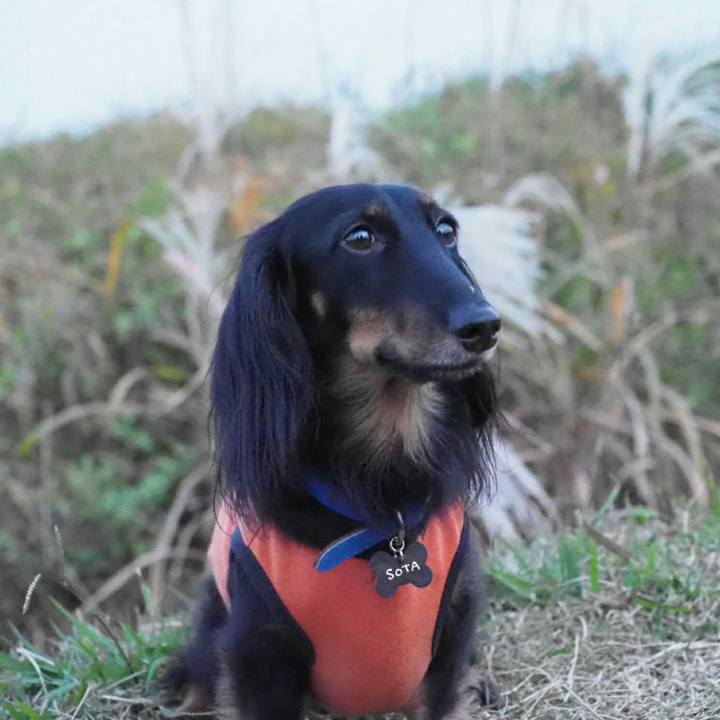 Bd1fd5f5 8fec 4ff4 b40b 2a55bf90e26e 1542351093962