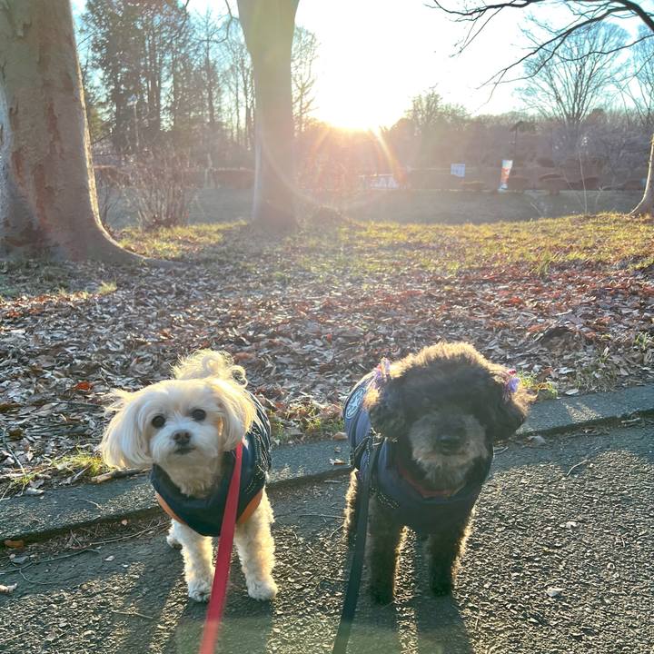 Bd1fd719 d232 41e6 9b22 4681b66000a1 1768205625653