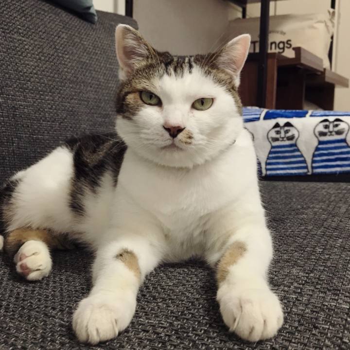 Bd1fe0d7 ec42 446f ae6f 5aad142e1c0b 1594958319295