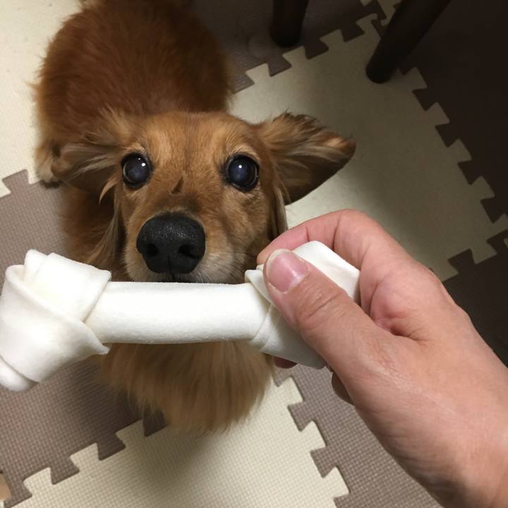 Bd2020a2 5328 4dea a8a3 789467ca401f 1554646002555