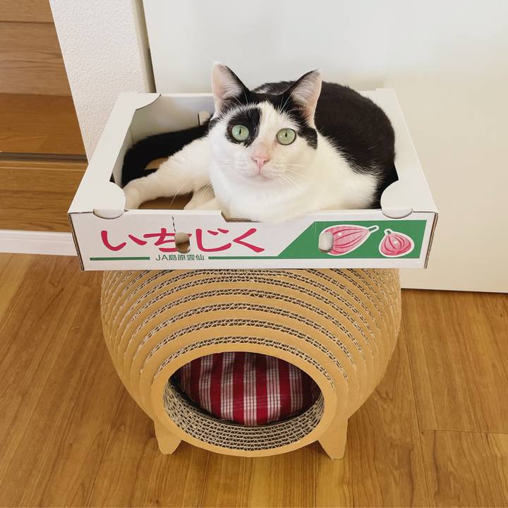 Bd203e6f def9 493f 98db 37e22dd17d8d 1638069195155