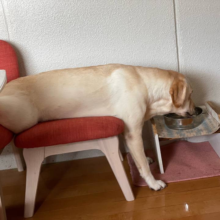 Bd207cb9 1aaa 4cc4 a455 1890d50949f9 1662856510568