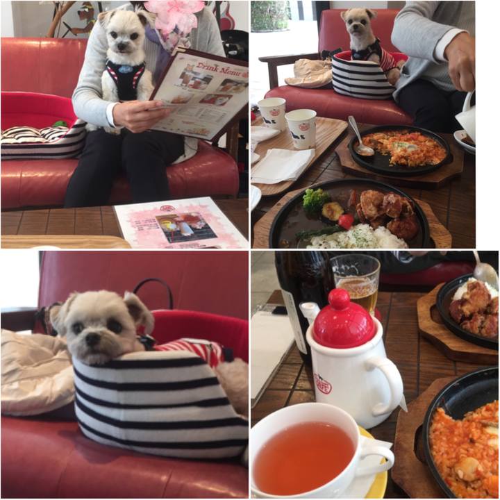 Bd20a827 cea4 4c28 a8a7 331714b4e375 1523697382068