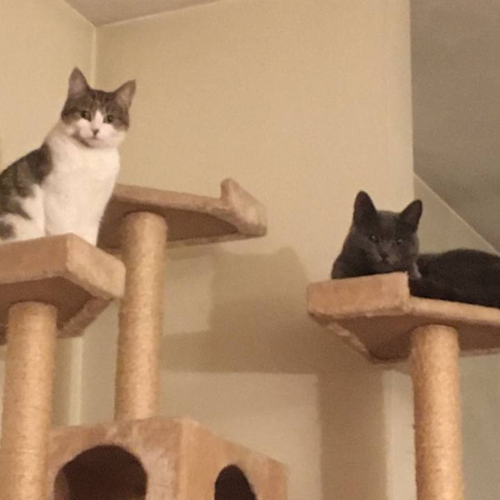 Bd20ab3f 8dfc 435f 8164 5728b91c0eaf 1633135892877