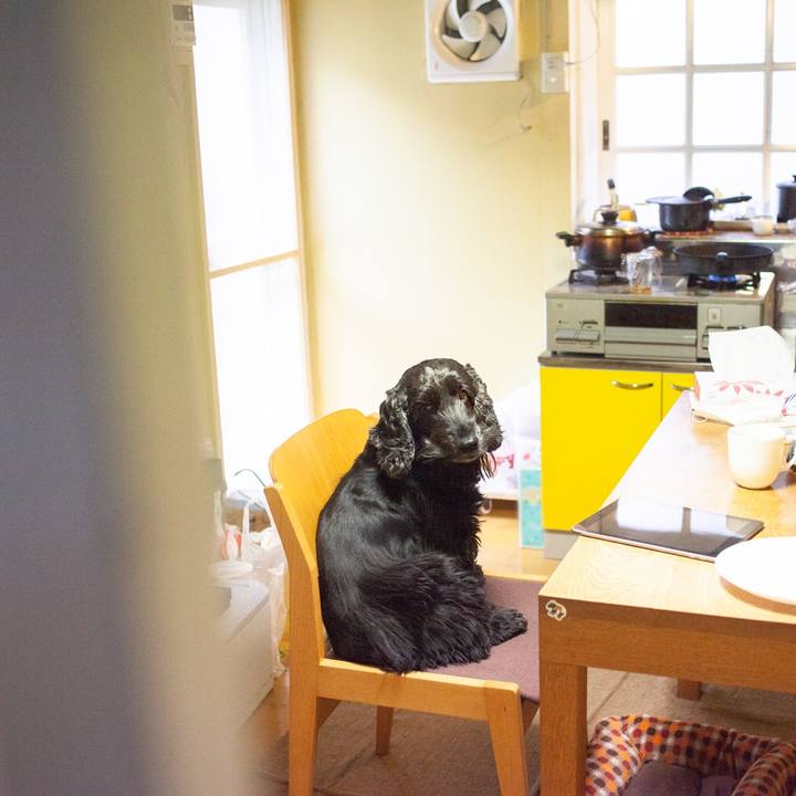 Bd20c3bc fc45 48b1 a9d7 b62a3253549e 1548676001960