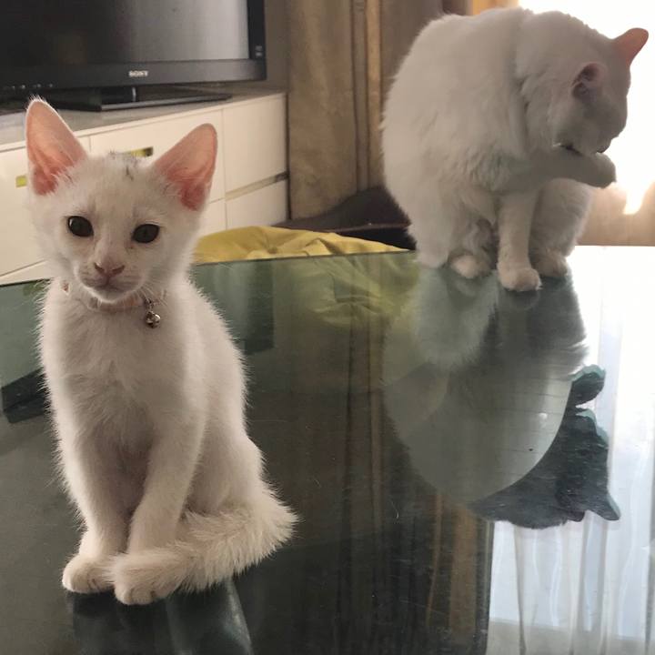 Bd20cd05 fb85 429a 86f7 df02070ea096 1566167194757