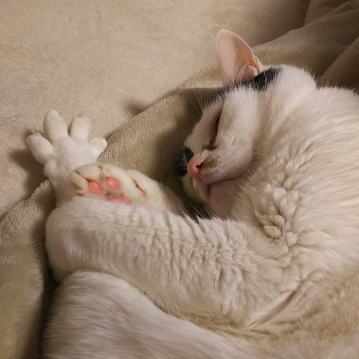 Bd2145da 6cc6 46fe b8e0 f1e1d2bd9934 1574944205252