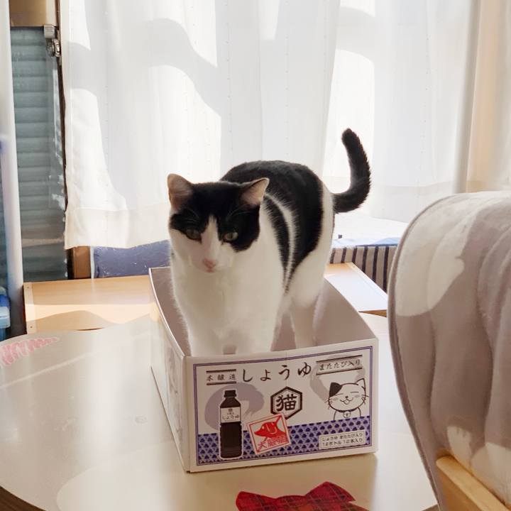 Bd2172ec aae9 48a7 b866 5f39ebdc1433 1543109718635