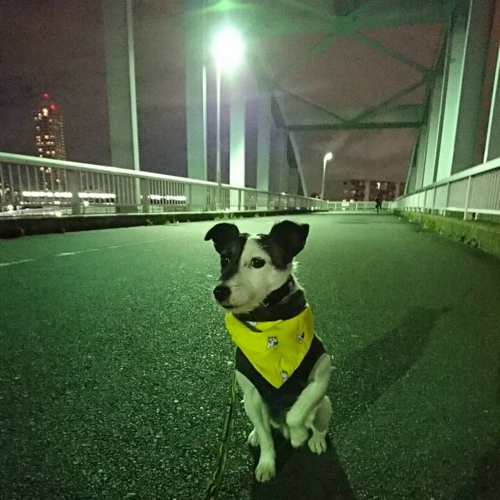 Bd217c78 79ab 4147 8a16 2a14b669ef54 1521718411443