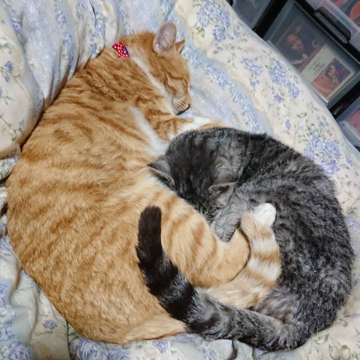 Bd218c29 fea6 494c 94e5 882ca9395efb 1576585427000