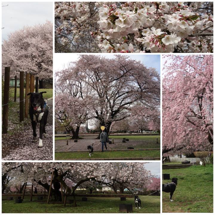 Bd219c69 b2e5 46c4 89f3 430a93a2a8b4 1649118495735