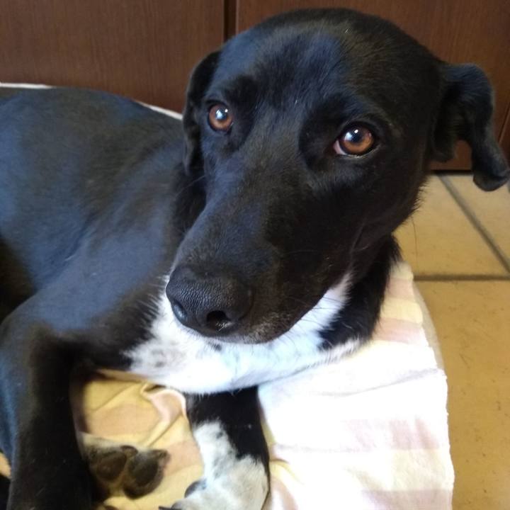 Bd21bbfd 812f 4117 bddf 31f0210457c4 1587164739755