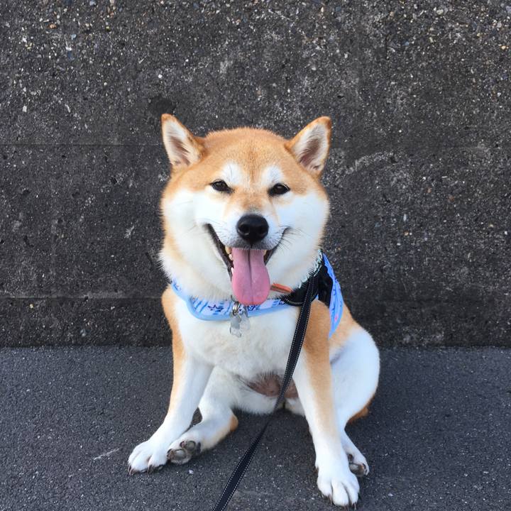 Bd21d401 b080 40c9 9467 eec5ab49e198 1533857305252