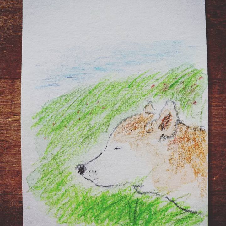 Bd21f5cb 1c46 41ff 9857 10b9ef06ac5b 1611969269502