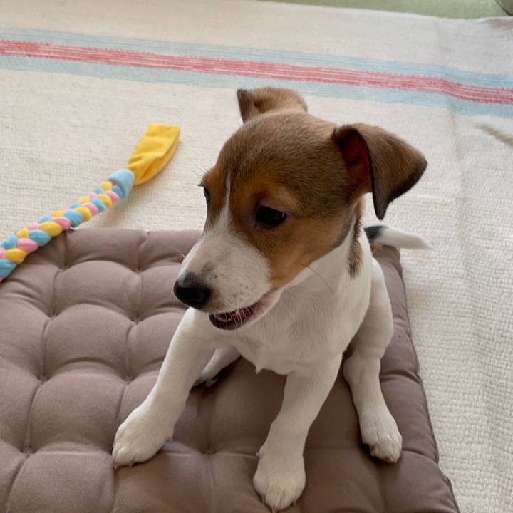 Bd2215ee 82c0 4ac0 b7c0 5439dd0eebf5 1667649367570