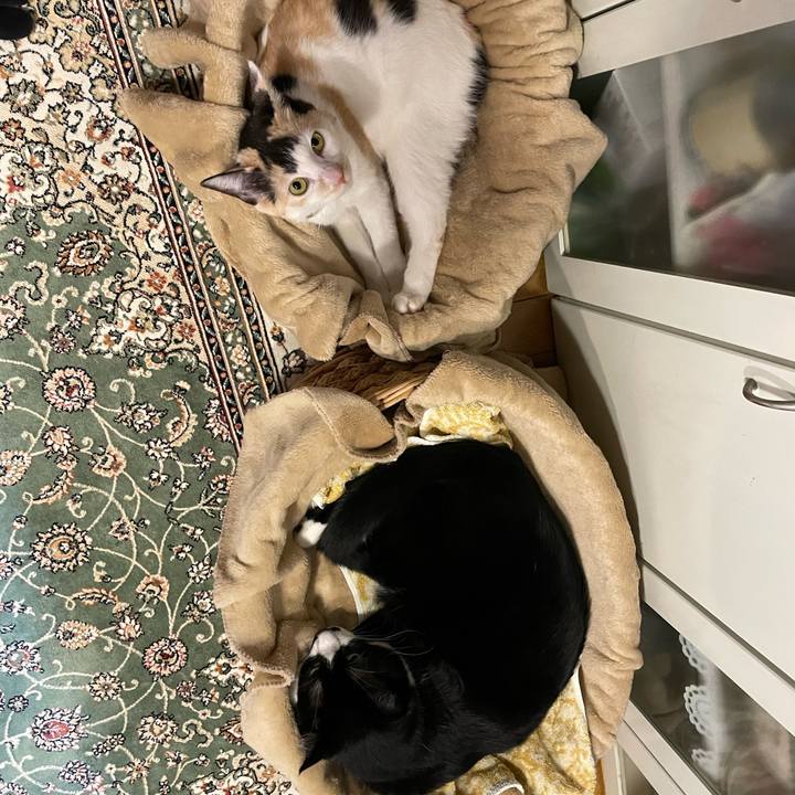 Bd22585d 776d 4127 8013 bebe1241235e 1675072519400