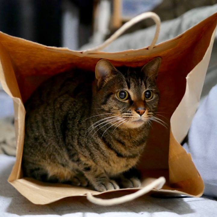 Bd22778c b76f 46d4 b466 fc676584e011 1518626563340