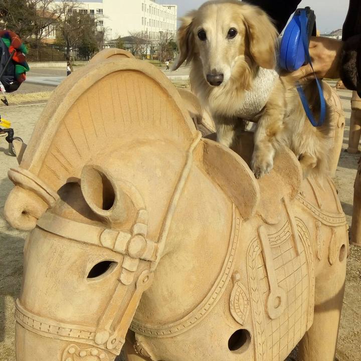 Bd2289e4 af6d 4ae8 bfa9 af6fa026b167 1551016621453