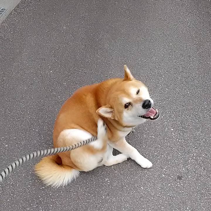 Bd22a3c3 4d07 4c22 aca8 425b1b0440d9 1620342730729