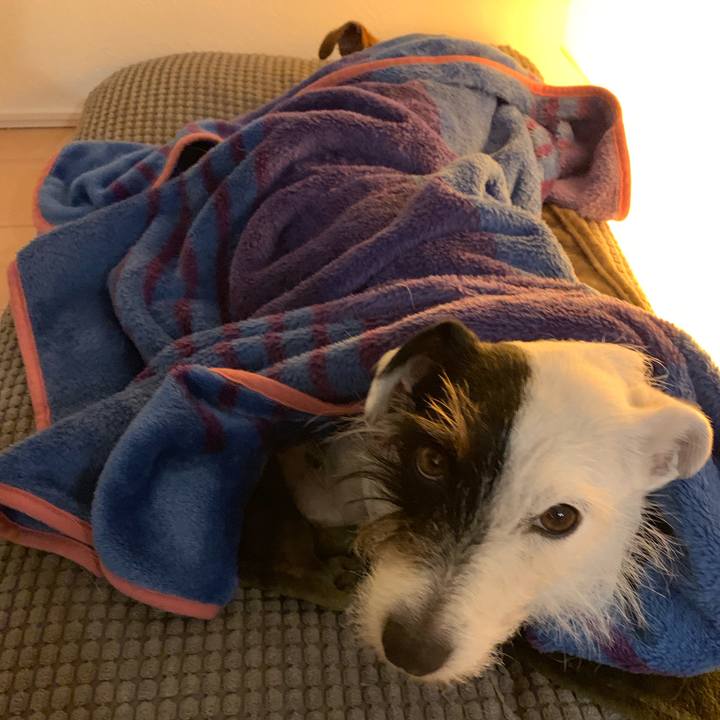 Bd22baca e7ad 4814 871e 46ac8a3ef7b9 1549285105182