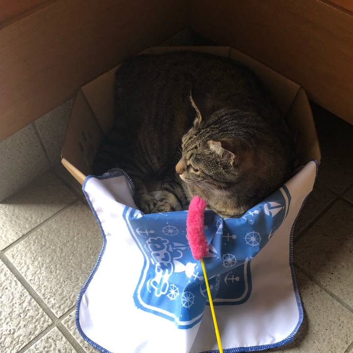 Bd22de33 41a8 453b 81b3 1e0bb0f07948 1561294723871