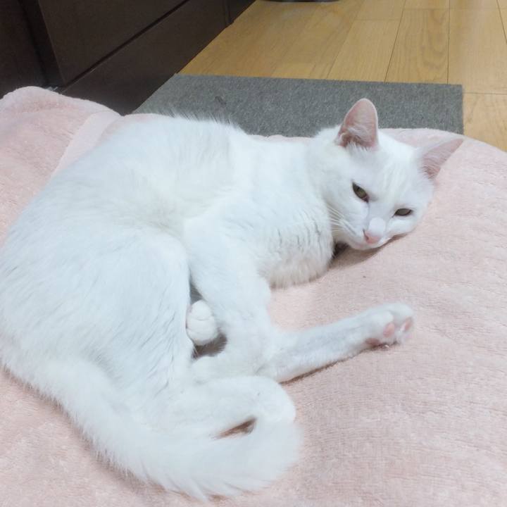 Bd22e54c 1bf2 45c9 ad09 f7768749df9d 1631331667608