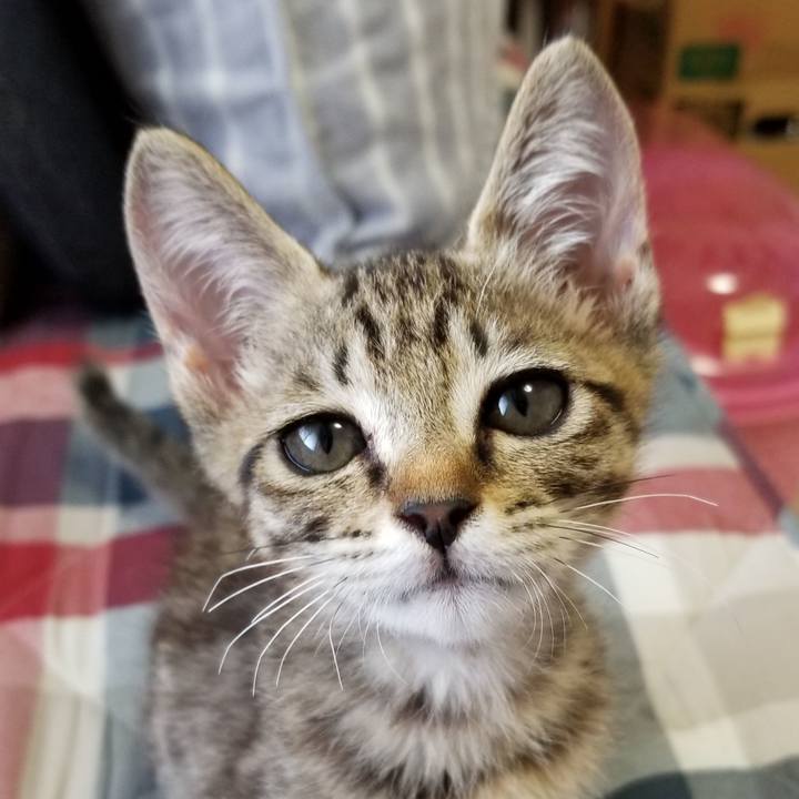 Bd22e752 1eb6 4674 8199 6ef2201cf223 1534935305321