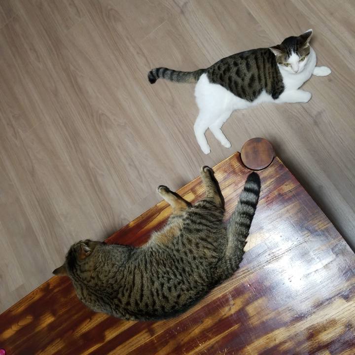 Bd22f290 a8aa 4e40 b96e 2e7674d904bf 1566248779387