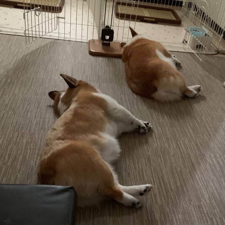 Bd231252 8e69 4f8d ab22 440d63c4dc34 1562934582898