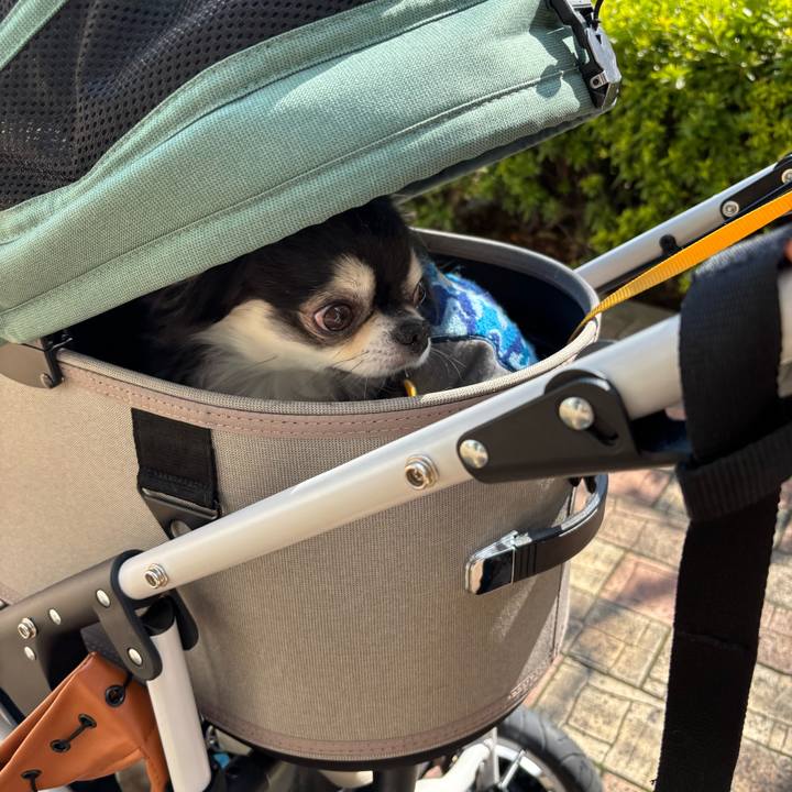 Bd2359c9 dd27 462c b3d3 4a700894f119 1742661541215