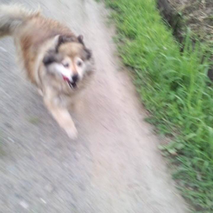 Bd236824 e9d7 42c4 871a b98c68a8f55c 1557824126480