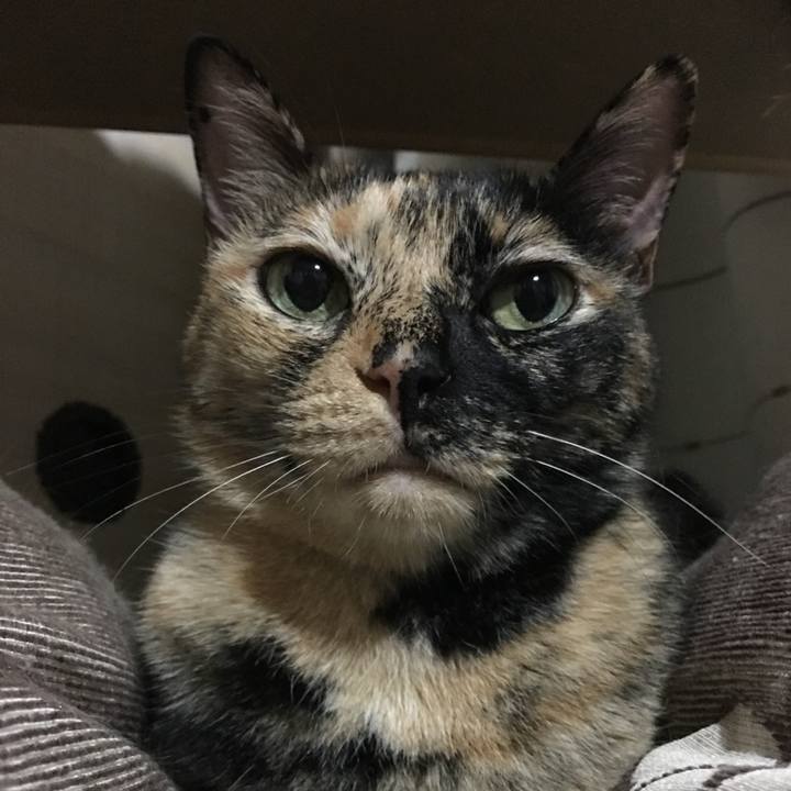 Bd237a10 bdb9 49b0 949c de88b72c488d 1759243165840