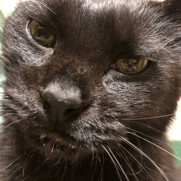 Bd238dc4 4706 479a a6f4 5baed2da46f2 1631013998356