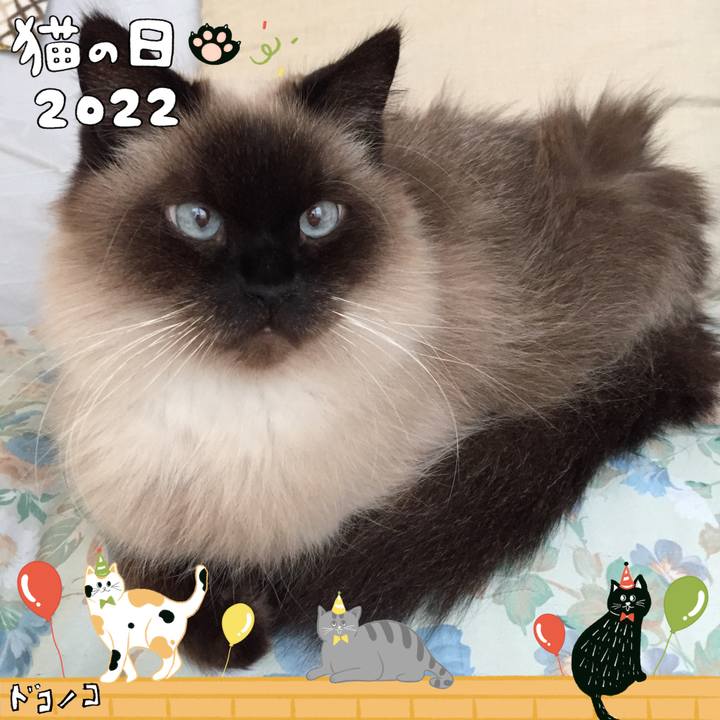 Bd23aaac bbf9 4928 aac0 8dd8e7968037 1645524932246