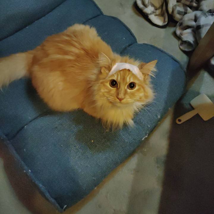 Bd23b69a 147c 4817 83f6 c1af32e06305 1682606839067