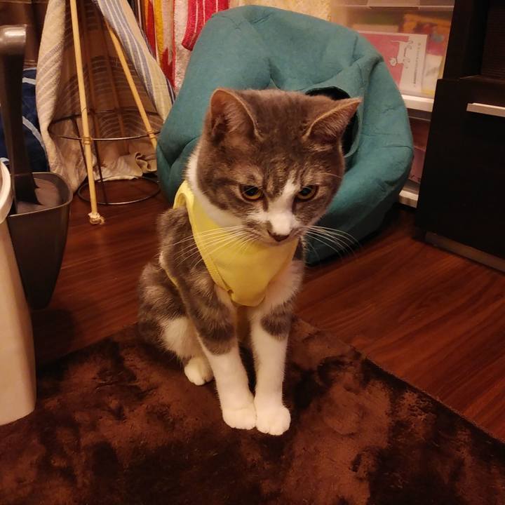 Bd2420d8 0c9a 4efc a815 8832d9598df9 1584188793678