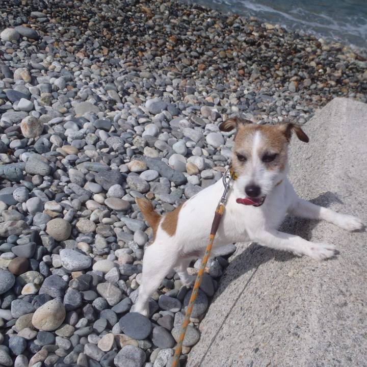 Bd244bd0 27cb 4f7c 9c9e 43465ba8e3e7 1534939206281