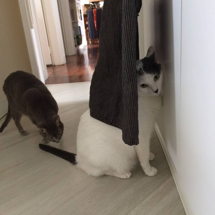 Bd244bfe 99e6 45c7 a864 4ed17502ecf1 1509641286134